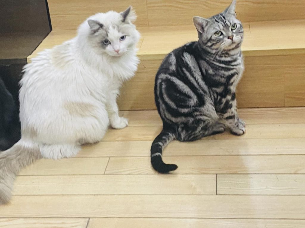 揭秘直播带货：李佳琦等人是玩家，不能制定游戏规则