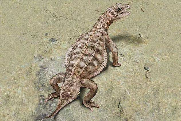 为什么“性感营销”威力巨大?插图10 为什么“性感营销”威力巨大?