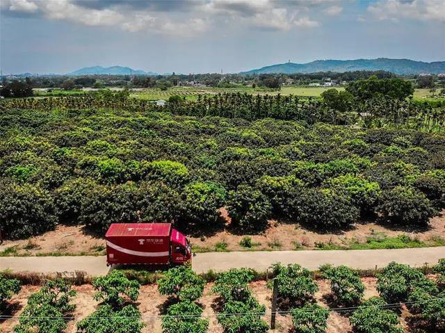 京东把票投给中国