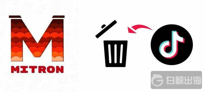 鸟哥笔记,行业动态,白鲸出海,互联网