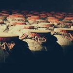 【行业洞察】白酒行业报告（四）——2020中国白酒产业投融资发展趋势报告（简版）