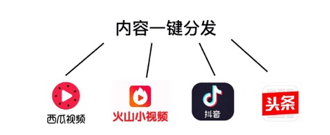 鸟哥笔记,新媒体运营,蟹-,视频工具,总结,分享,短视频,内容运营