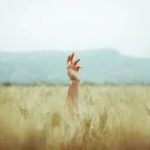 创业者开始“卖血”融资：被A机构白嫖4个月 被B机构腰斩80%估值