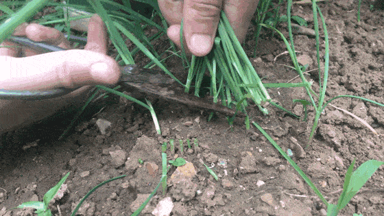 川图导航,电商快消,运营研究社,策略,思维,淘宝 川图导航,电商快消,运营研究社,策略,思维,淘宝