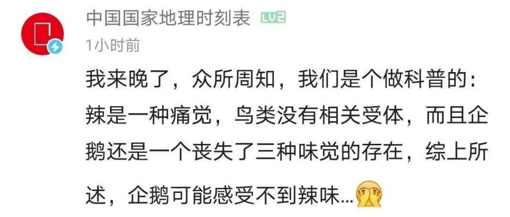 “傻白甜”腾讯,在线哭喊“这些酱太重了!”插图13 “傻白甜”腾讯,在线哭喊“这些酱太重了!”