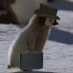 2020年Q2抖音广告投放分析