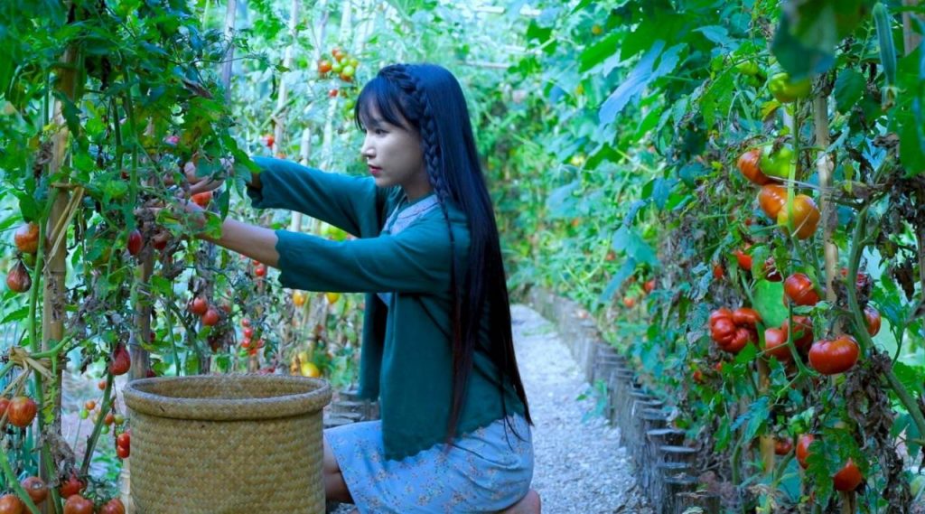 当螺蛳粉被吐槽、人设被质疑，自建工厂能改变李子柒什么？