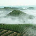 你与新鲜农产品之间，只差一个抖音的距离