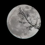 品牌们的中秋节文案