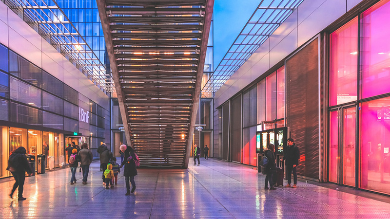 达芙妮巨亏、富贵鸟破产,鞋王百丽凭什么浴火重生?插图 达芙妮巨亏、富贵鸟破产,鞋王百丽凭什么浴火重生?