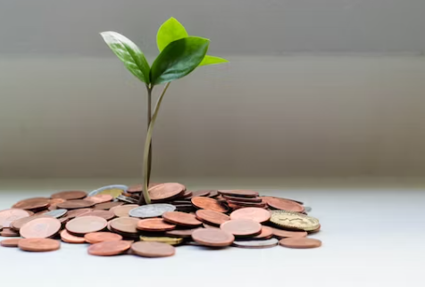 2刘强东走进多事之秋