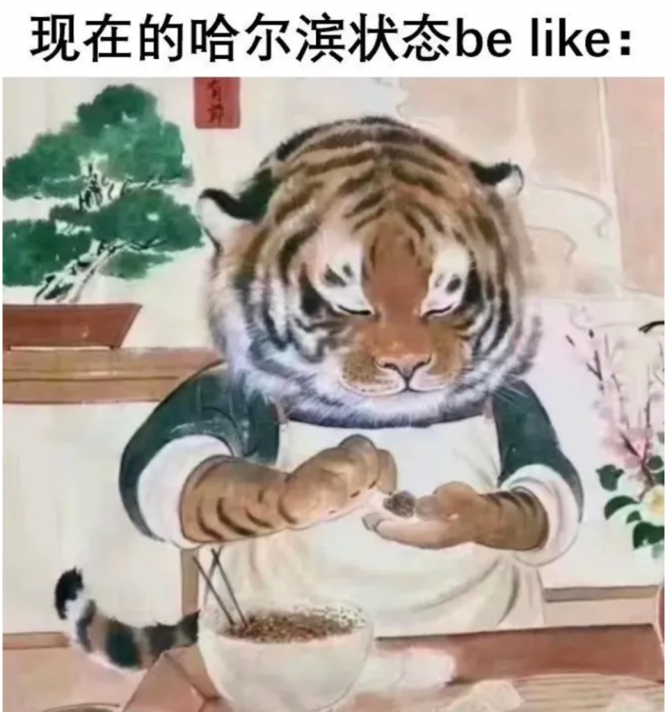 尔滨的「梗」风暴