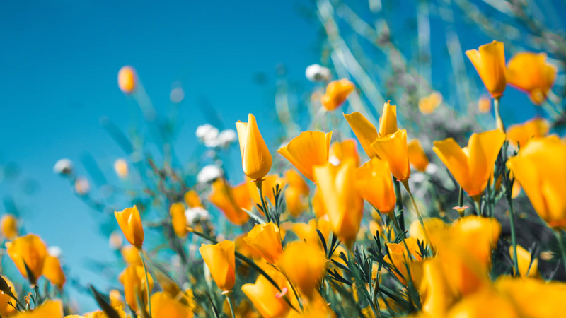 《繁花》的两种广告：被划过的和被共情的