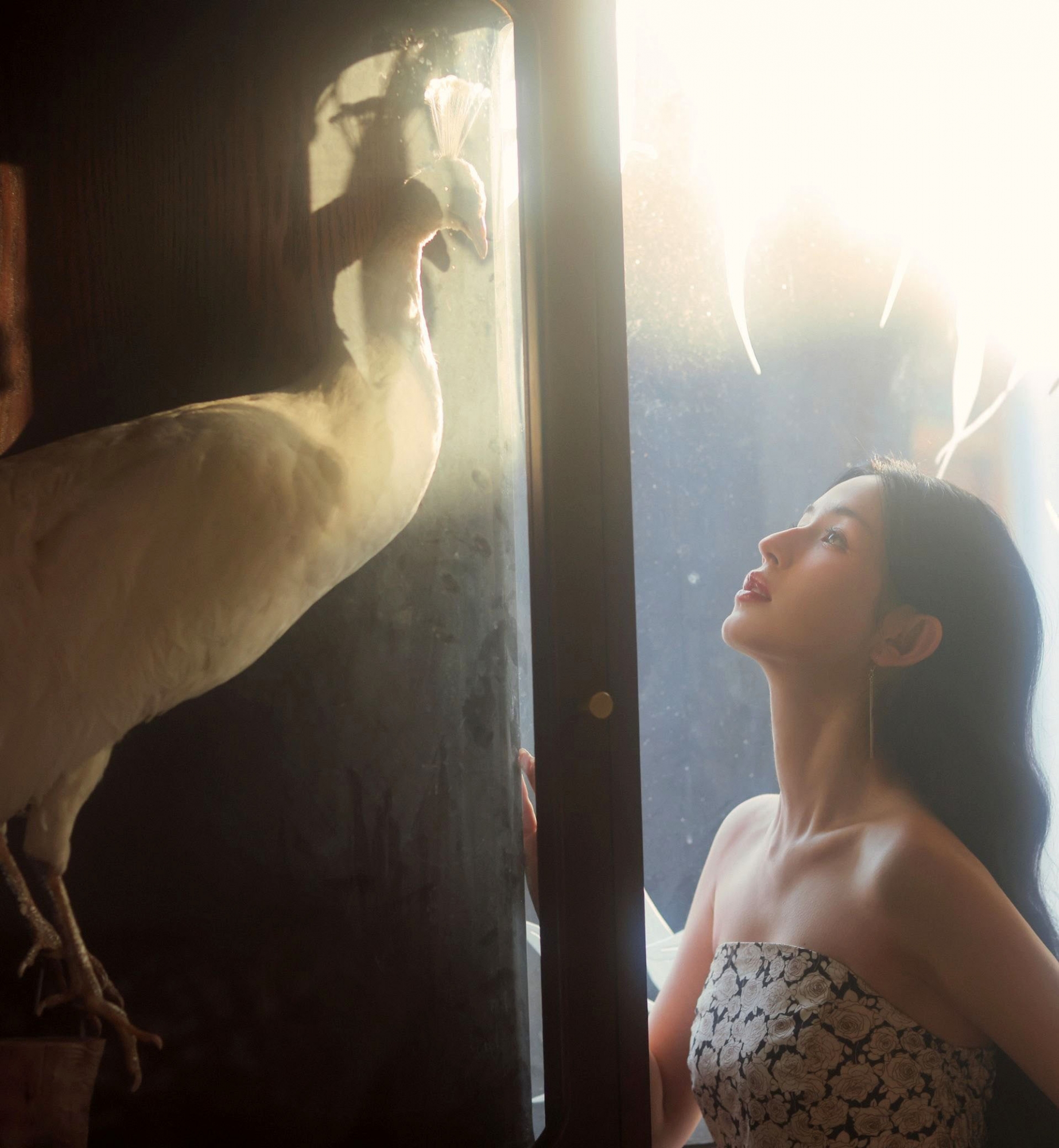 生日纪念写真—哈妮克孜