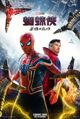 蜘蛛侠：英雄无归加长版 Spider-Man: No Way Home Extended Version