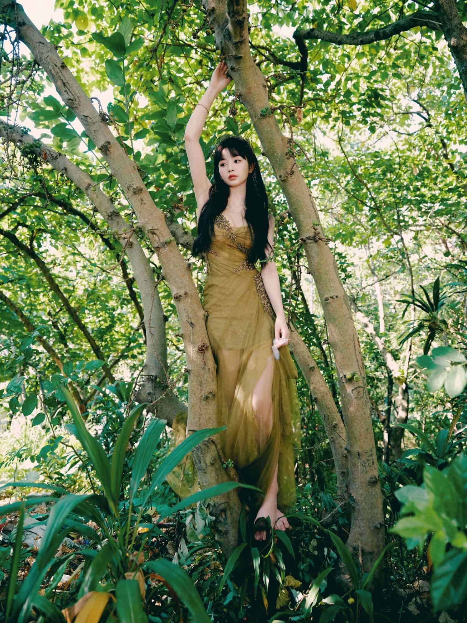 一不小心走进了森林童话—田曦薇