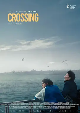 穿行 Crossing (2024)